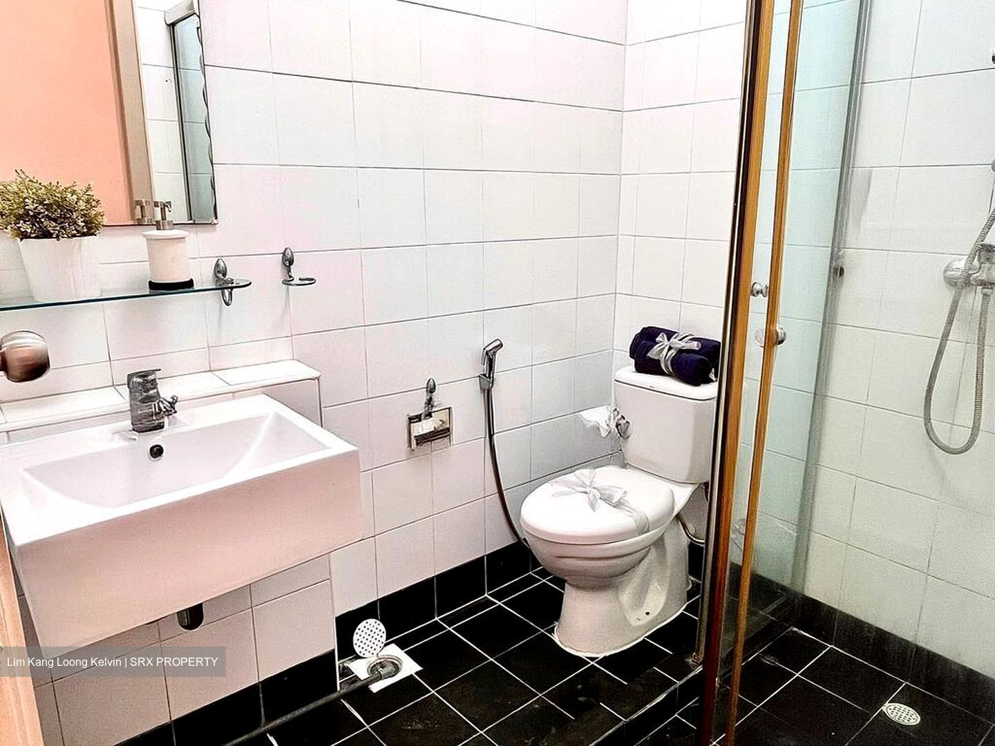 Saint George's Lane (D12), Terrace #500069461